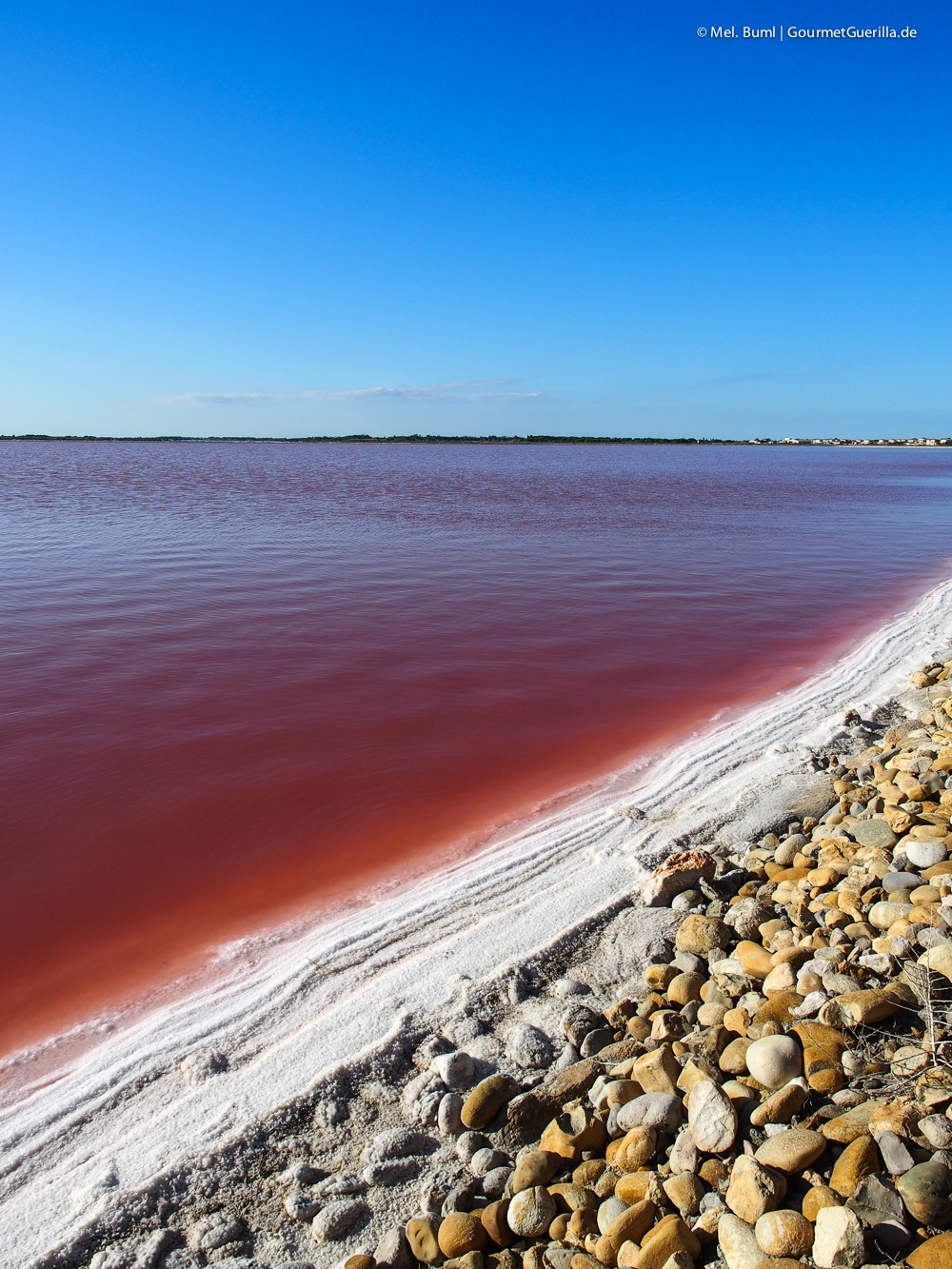 {Travel France} Harvested in the Camargue - pink Fleur de Sel, pink flamingos and pink lakes as far as the eye can see.