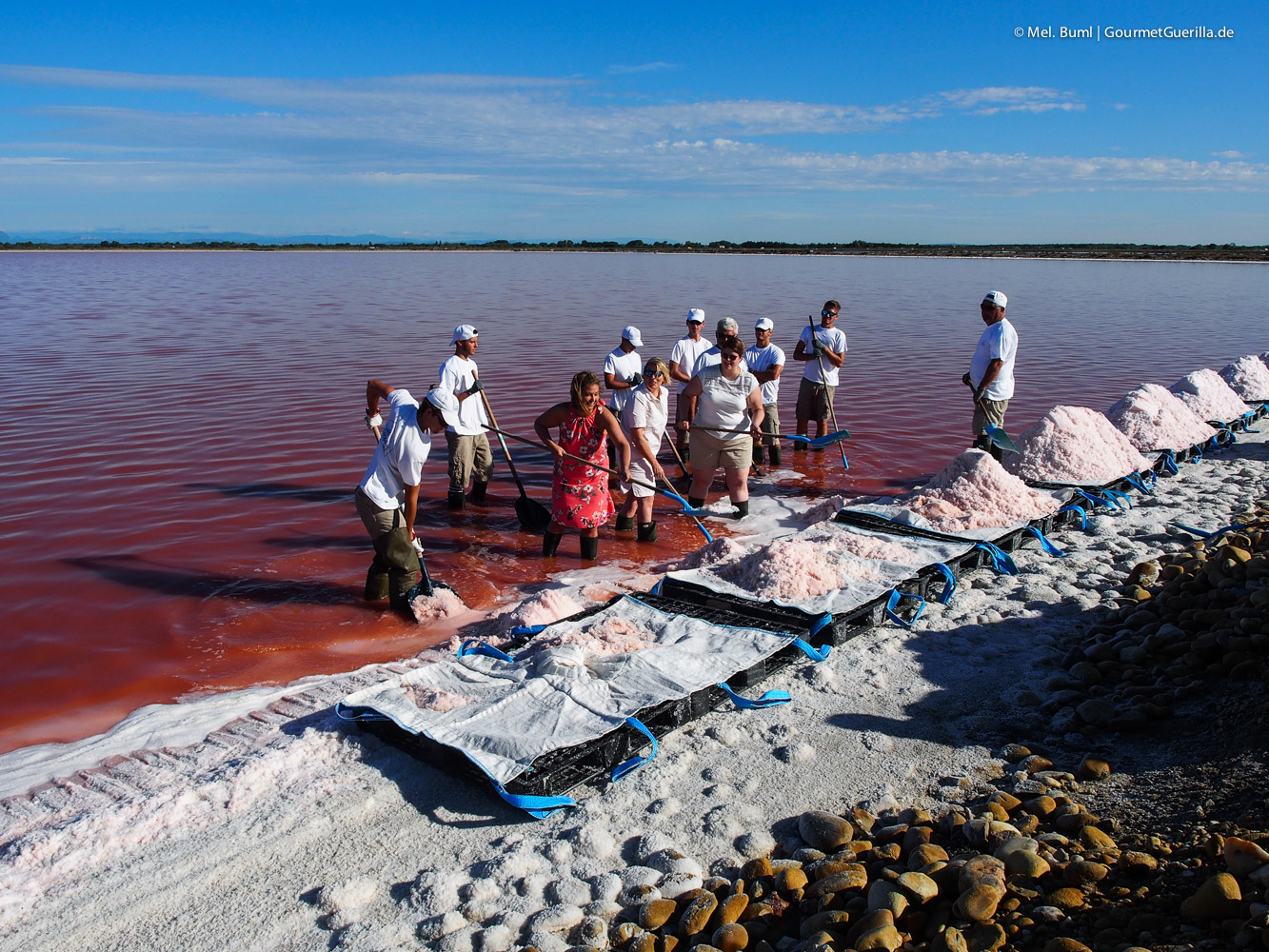 {Travel France} Harvested in the Camargue - pink Fleur de Sel, pink flamingos and pink lakes as far as the eye can see.